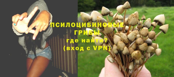 ALPHA PVP Алзамай