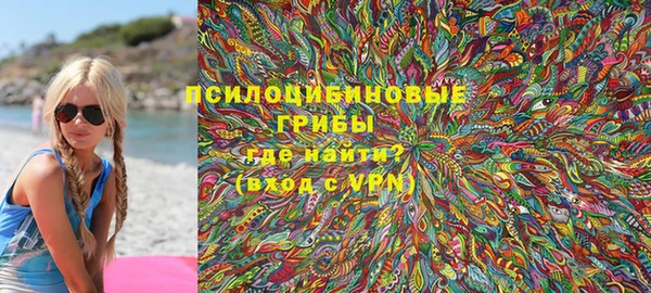 СК Алексин
