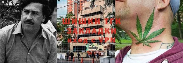СК Алексин