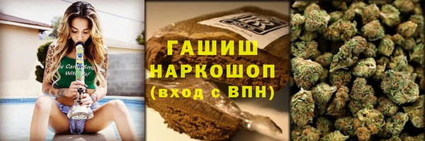 СК Алексин