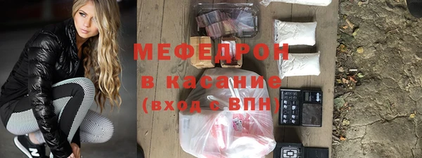 СК Алексин