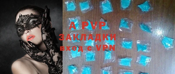 СК Алексин